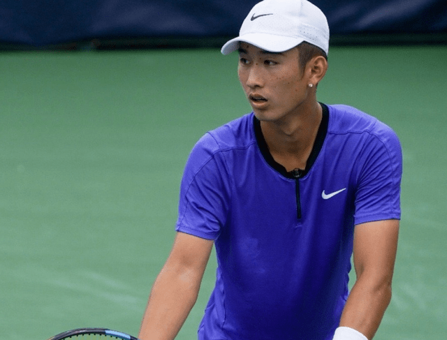 还揭示了 还揭示了